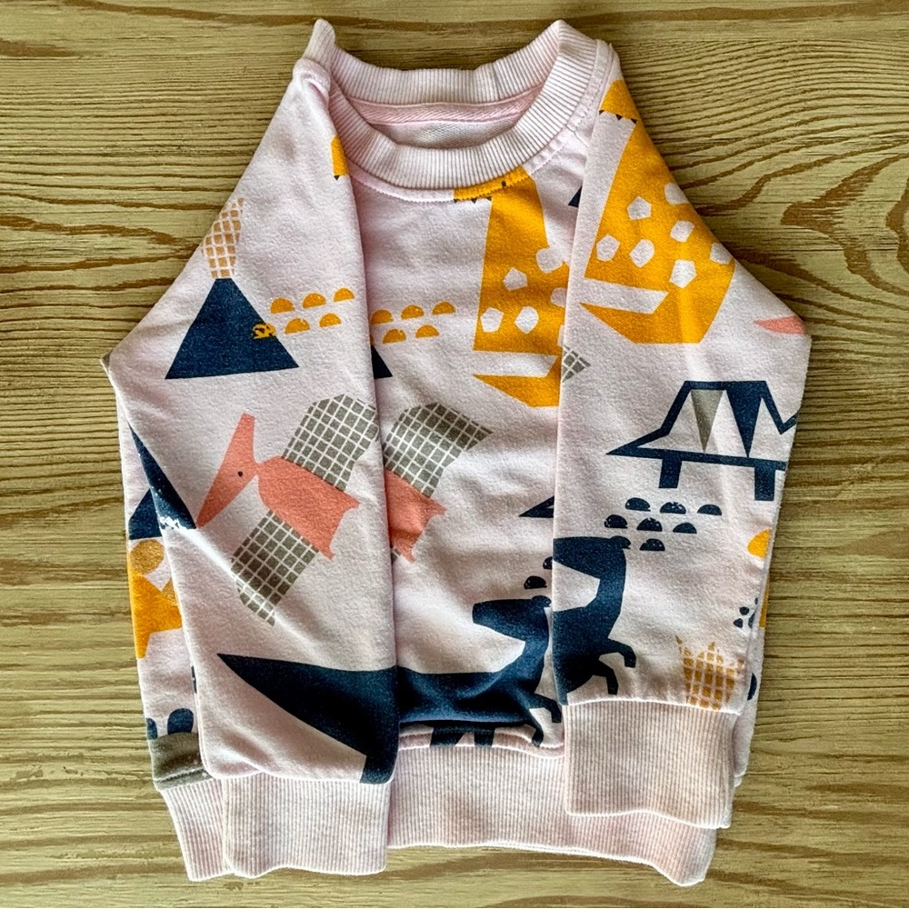Amazon Sweatshirt, Dinosaurs